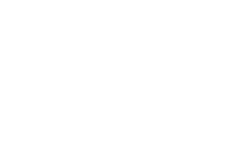 avion